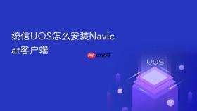 统信uos怎么安装navicat客户端