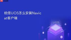 统信UOS怎么安装Navicat客户端