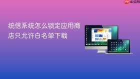 统信系统怎么锁定应用商店只允许白名单下载
