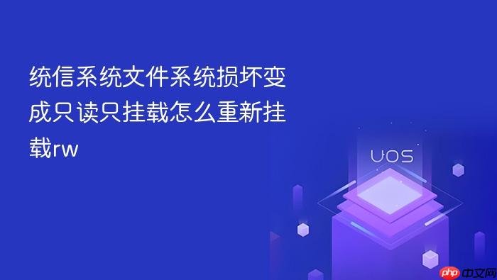 统信系统文件系统损坏变成只读只挂载怎么重新挂载rw