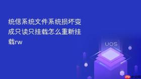 统信系统文件系统损坏变成只读只挂载怎么重新挂载rw