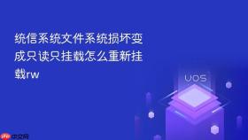 统信系统文件系统损坏变成只读只挂载怎么重新挂载rw