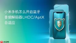 小米手机怎么开启蓝牙音频解码器LHDC/AptX自适应