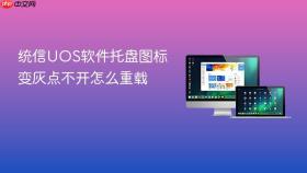 统信uos软件托盘图标变灰点不开怎么重载