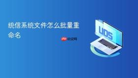 统信系统文件怎么批量重命名