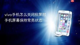 vivo手机怎么关闭投屏时手机屏幕保持常亮状态