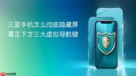 三星手机怎么彻底隐藏屏幕正下方三大虚拟导航键