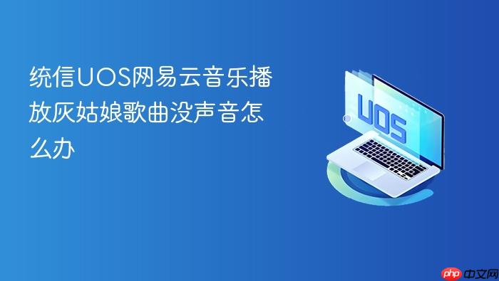 统信uos网易云音乐播放灰姑娘歌曲没声音怎么办