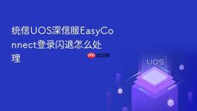 统信UOS深信服EasyConnect登录闪退怎么处理