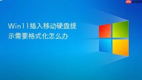 Win11插入移动硬盘提示需要格式化怎么办