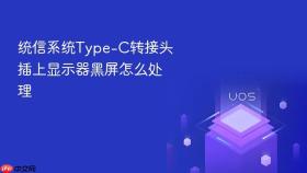 统信系统Type-C转接头插上显示器黑屏怎么处理