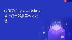 统信系统type-c转接头插上显示器黑屏怎么处理