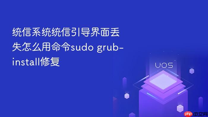 统信系统统信引导界面丢失怎么用命令sudo grub-install修复