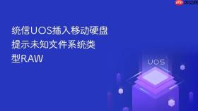 统信UOS插入移动硬盘提示未知文件系统类型RAW