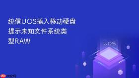 统信uos插入移动硬盘提示未知文件系统类型raw