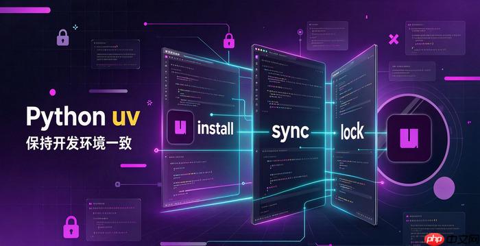 python uv命令行参数详细说明