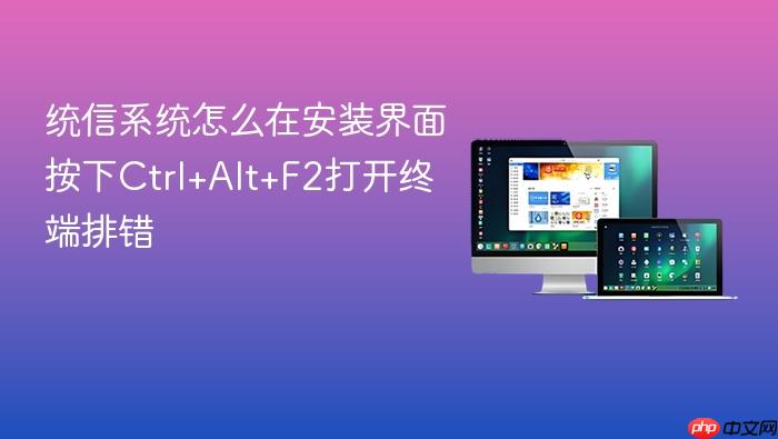 统信系统怎么在安装界面按下ctrl+alt+f2打开终端排错