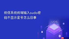 统信系统终端输入sudo密码不显示星号怎么回事