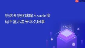 统信系统终端输入sudo密码不显示星号怎么回事