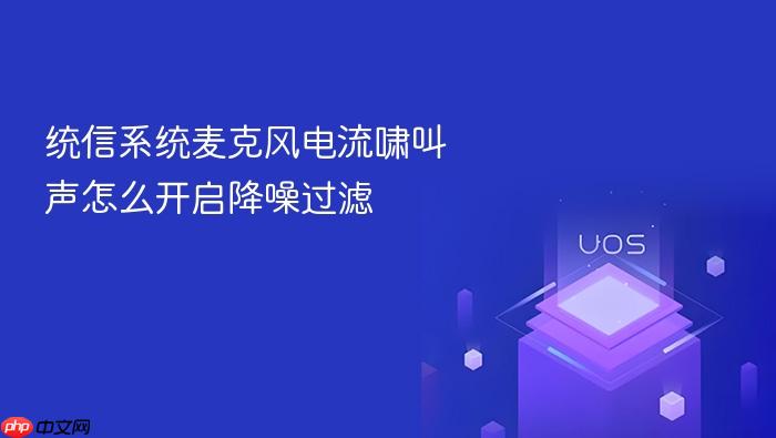 统信系统麦克风电流啸叫声怎么开启降噪过滤