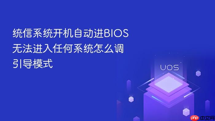 统信系统开机自动进bios无法进入任何系统怎么调引导模式