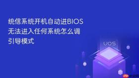 统信系统开机自动进bios无法进入任何系统怎么调引导模式