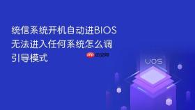 统信系统开机自动进BIOS无法进入任何系统怎么调引导模式