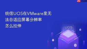 统信uos在vmware里无法自适应屏幕分辨率怎么拉伸