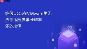 统信UOS在VMware里无法自适应屏幕分辨率怎么拉伸