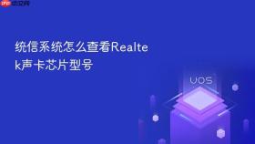 统信系统怎么查看Realtek声卡芯片型号