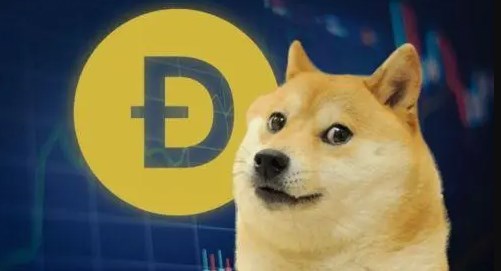 Dogecoin 지갑 주소를 입력하는 방법
