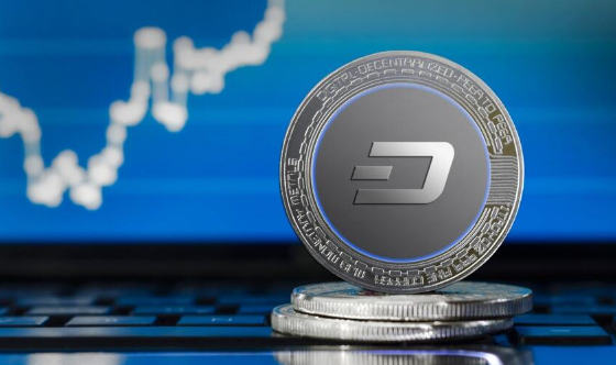 dash币合约交易平台