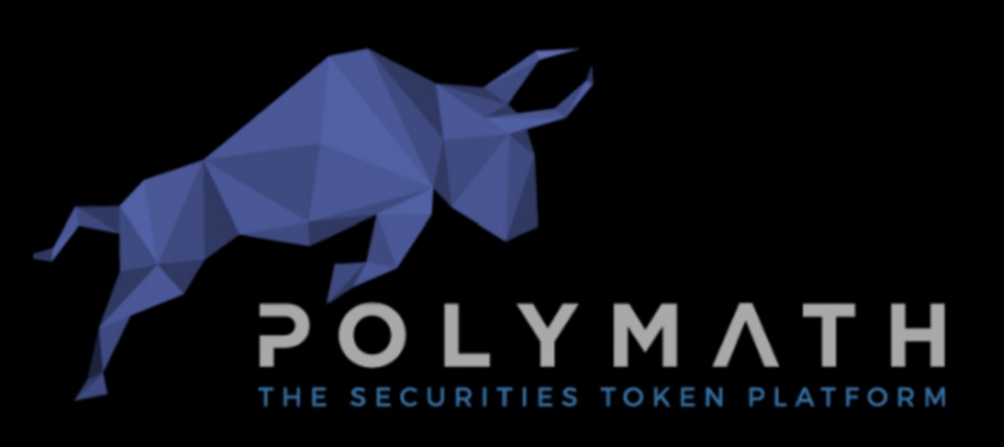 What is the issuance price of poly coins?