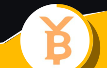 比特元BTY是什么?一文介绍比特元BTY
