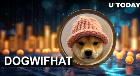 Is WIF coin a public chain? Is WIF/Hat Dogecoin fake?