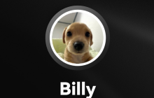 BILLY币怎么买卖交易?BILLY币上线了哪些交易所?