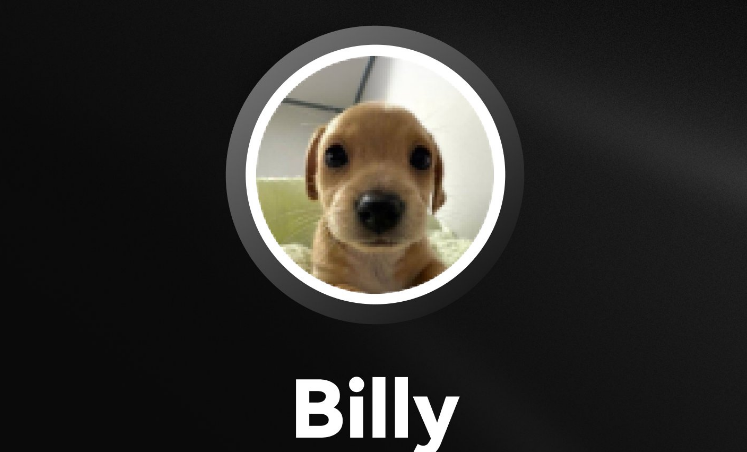 How to buy and sell BILLY coins? Which exchanges are BILLY coins listed on?