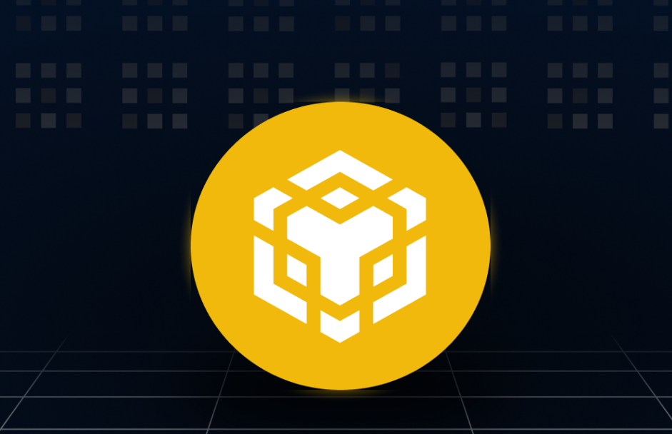 Inventory of Binance Coin Trading Platform