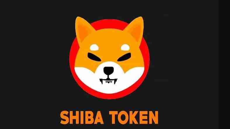 Artikel yang memperkenalkan senario aplikasi Shiba Inu Coin