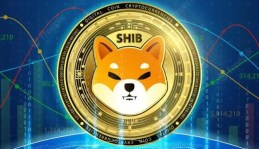 SHIB币未来前景及价格走势分析