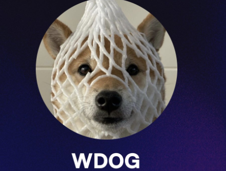 Wrapped Dog 是什么？了解这一新兴加密货币的基本知识