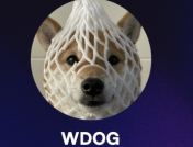 Wrapped Dog 是什么？