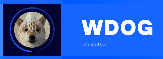 What differentiates Wrapped Dog from other dogecoins?