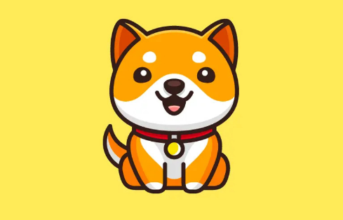 BabyDoge 코인을 얻는 방법