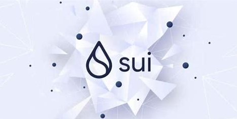 SUI币会成为百倍币吗？
