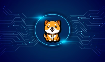 Who issued BabyDoge coins?