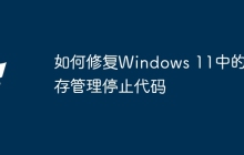 如何修复Windows 11中的内存管理停止代码