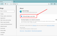 如何停止Microsoft Edge自动更新