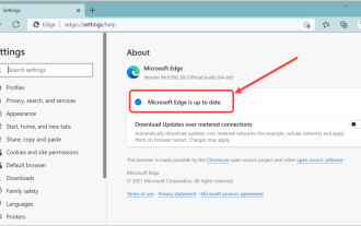 Microsoft Edge 자동 업데이트를 중지하는 방법