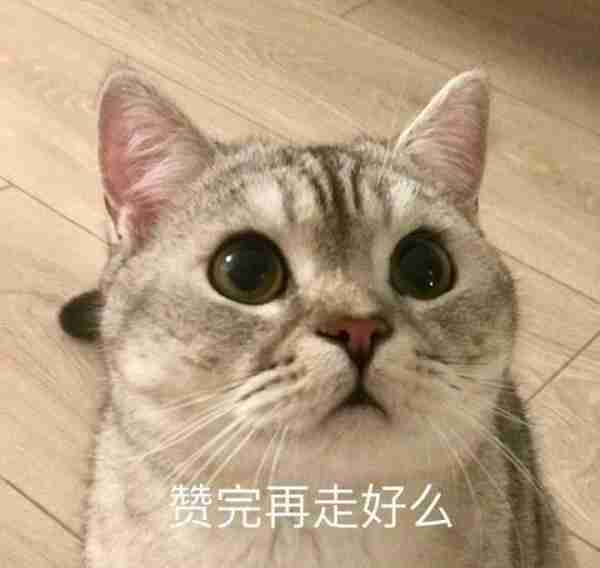 炉石传说:砰砰计划法师2费新卡来了,配合铜须能完成33血斩杀!